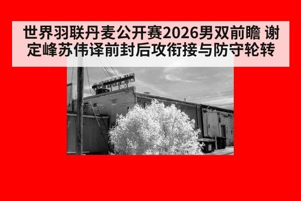 世界羽联丹麦公开赛2026男双前瞻 谢定峰苏伟译前封后攻衔接与防守轮转